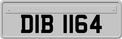 DIB1164