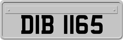 DIB1165