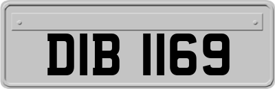 DIB1169