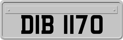 DIB1170