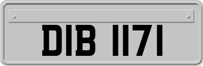 DIB1171