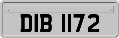 DIB1172
