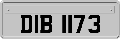 DIB1173