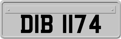 DIB1174