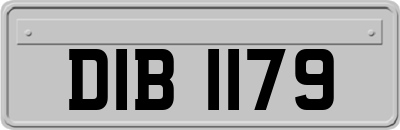 DIB1179