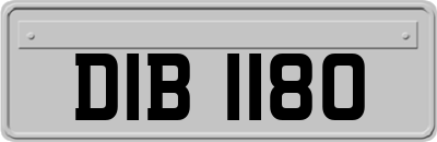 DIB1180