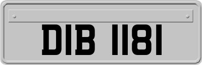 DIB1181