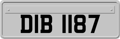 DIB1187