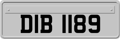 DIB1189