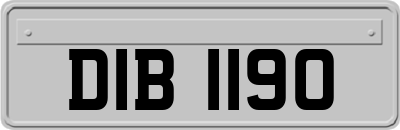 DIB1190