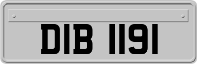 DIB1191