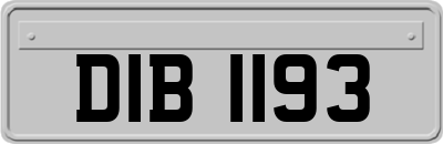 DIB1193