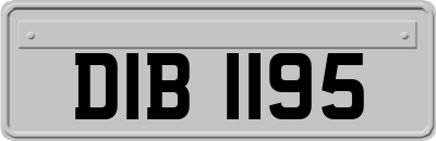 DIB1195