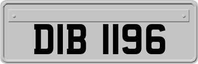 DIB1196