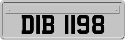 DIB1198