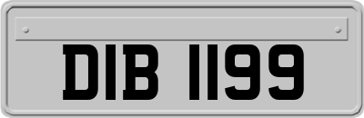 DIB1199