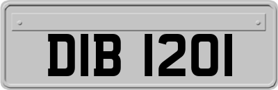 DIB1201