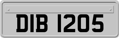 DIB1205
