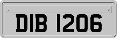 DIB1206