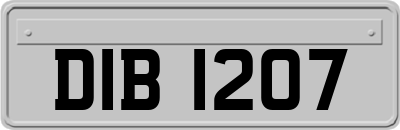 DIB1207