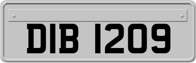 DIB1209