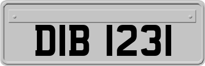 DIB1231