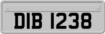 DIB1238