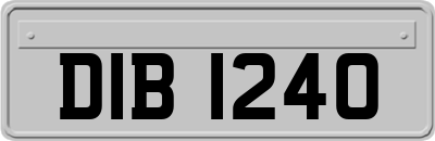 DIB1240