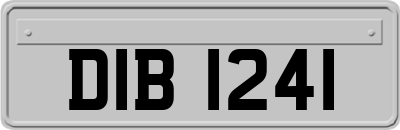 DIB1241