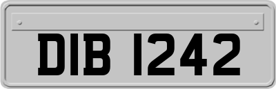 DIB1242