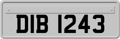 DIB1243