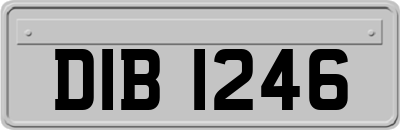 DIB1246