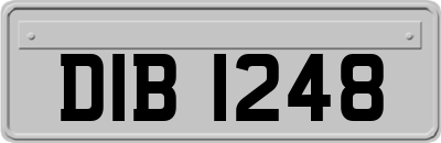 DIB1248