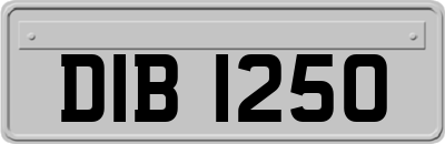 DIB1250