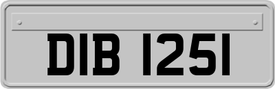 DIB1251