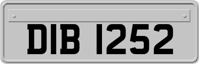 DIB1252