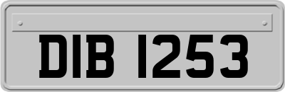 DIB1253