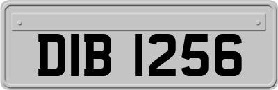 DIB1256