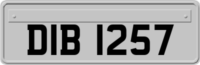 DIB1257