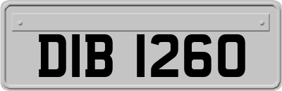 DIB1260