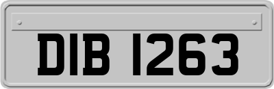 DIB1263