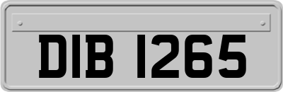 DIB1265