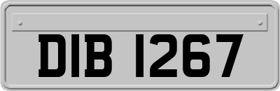 DIB1267