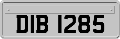 DIB1285