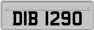 DIB1290