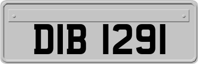 DIB1291