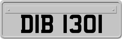 DIB1301