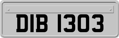 DIB1303