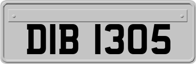 DIB1305