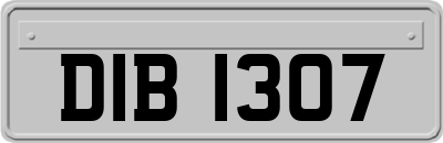 DIB1307